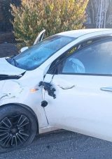 Kahramanmaraş'ta Feci Trafik Kazası: 75 Yaşındaki S&uuml;r&uuml;c&uuml; Hayatını Kaybetti