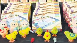 Kanserojen Oyuncak Satıcılarına Operasyon