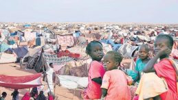 Kara Kıta'da 'Altın' Katliamı