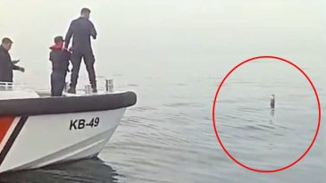 Karadeniz'de Balık&ccedil;ılardan Şaşırtan G&ouml;r&uuml;nt&uuml;: Sahil G&uuml;venlik &Uuml;zerinde &Ccedil;alışıyor