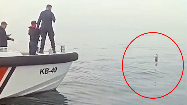 Karadeniz'de Balık&ccedil;ılardan Şaşırtan G&ouml;r&uuml;nt&uuml;: Sahil G&uuml;venlik &Uuml;zerinde &Ccedil;alışıyor