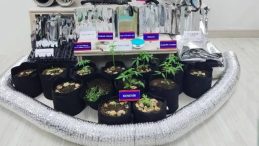 Karaman'da 'Tarihi Sikke' Operasyonu: &Ccedil;ok Sayıda Esrarengiz D&ouml;k&uuml;mantasyon ve 10 Tutuklama!