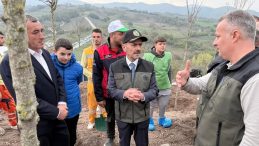 Karam&uuml;rsel&rsquo;de 3 Bin Ağa&ccedil;, Gebze ve Dilovası&rsquo;nda Vefat Edenlere Atfedildi