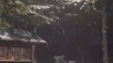 Kartepe'de Mevsimin İlk Kar Yağışı Ger&ccedil;ekleşti