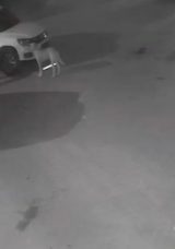 Kastamonu'da Şaşırtıcı Olay: Sokak K&ouml;pekleri Aracı Par&ccedil;aladı! '3 Ay İ&ccedil;inde 2 Kez&hellip;'