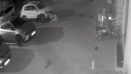 Kastamonu'da Şaşırtıcı Olay: Sokak Köpekleri Aracı Parçaladı! '3 Ay İçinde 2 Kez…'