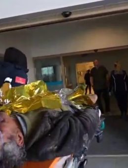 Kayıp Çoban Koyunların Arasına Sığınarak Hayatta Kalmayı Başardı