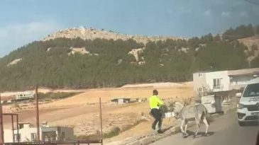 Kazaya Davetiye &Ccedil;ıkaran Eşeğe Polis M&uuml;dahale Etti