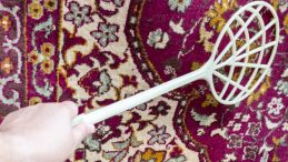 Komşusunun Üzerine Halı Silkeleyen Sanığa 3 Ay Hapis Cezası