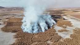 Konya'daki G&ouml;kg&ouml;l Sazlıklarında Yangın!