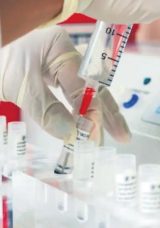 K&ouml;k H&uuml;cre Naklinde D&uuml;nyanın İlk 5'inde Yer Alıyoruz