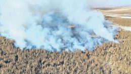 Kulu'daki Sazlık B&ouml;lgesinde Yangın Devam Ediyor