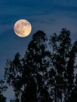 Kunduz Dolunayı Nedir? Ne Zaman ve Saat Kaçta Başlayacak? İşte Son 6 Yılın En Büyük Süper Ay'ının Burçlara Etkileri