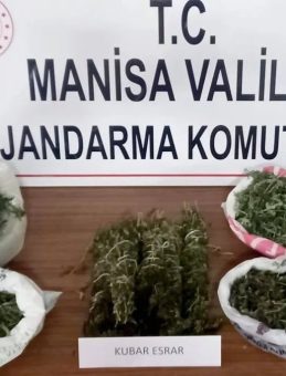 Manisa’da Uyuşturucu Operasyonu