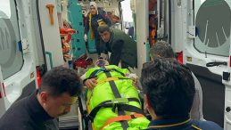 Mantar Toplama Esnasında Ayı Saldırısına Uğrayan İmam Kurtuldu!