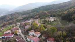 Mantar toplamaya &ccedil;ıktı &ouml;l&uuml; bulundu