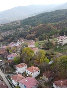 Mantar toplamaya çıktı ölü bulundu