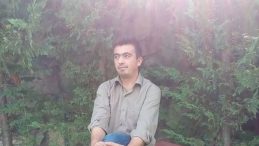 Mantar Toplamaya Gitti, Kayboldu