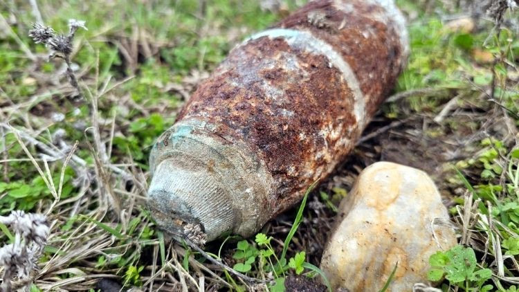 Mantar Toplarken Patlamamış Top Mermisi Bulundu