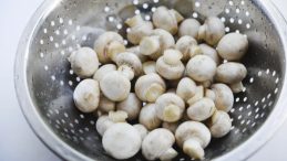 Mantar zehirlenmesinde kritik bir bilgi: Şikayetler 6 saat sonra ortaya &ccedil;ıkıyorsa&hellip;