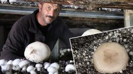 Memleketine döndü devlet desteği aldı: 6 çadır kurdu üretime geçti!