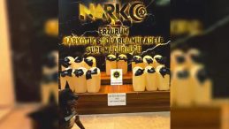 Mersin ve Erzurum'da Uyuşturucu Operasyonu: 224 kg Metamfetamin ve 223 kg Skunk Ele Geçirildi