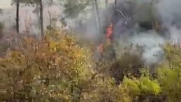 Mersin'de Feci Ölüm! Temizlik İçin Ateş Yaktığı Bahçede Alevlerin Arasında Kaldı
