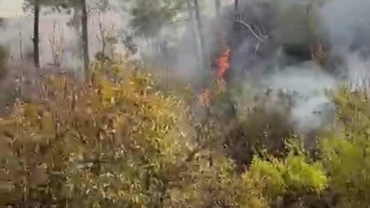 Mersin'de Feci Ölüm! Temizlik İçin Ateş Yaktığı Bahçede Alevlerin Arasında Kaldı