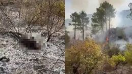 Mersin'de Trajik Olay: Kendi Yaktığı Alevlerde Hayatını Kaybetti!