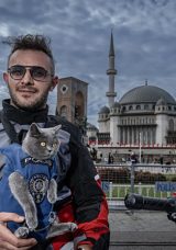 Motorlu kedi Gofret&rsquo;le tanışın! İstanbul turu adeta viral oldu