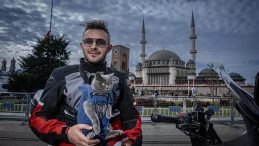 Motorlu kedi Gofret&rsquo;le tanışın! İstanbul turu adeta viral oldu