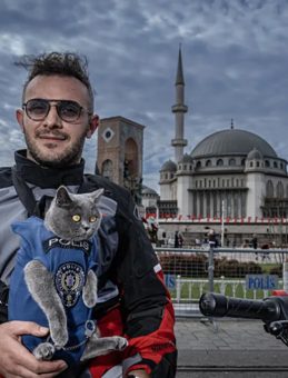 Motorlu kedi Gofret’le tanışın! İstanbul turu adeta viral oldu