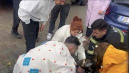 Muğla'da Yangın Faciası | Evdeki Köpeklerden Biri Kurtarılamadı, Diğeri Kalp Masajıyla Hayata Döndürüldü!