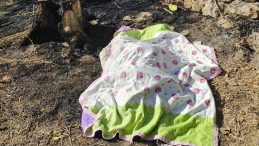 Nevşehir’de Bahçe Temizliği Faciası: 87 Yaşındaki Kadın Alevler İçinde Hayatını Kaybetti