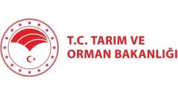 OGM PERSONEL ALIMI BAŞVURULARI BAŞLADI! OGM personel alımı başvurusu nasıl yapılır, şartlar neler?