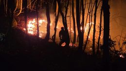 Ordu'da &ouml;rt&uuml; yangını ormana sı&ccedil;radı! Ekiplerin m&uuml;dahalesi s&uuml;r&uuml;yor