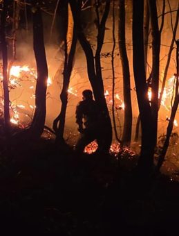 Ordu'da örtü yangını ormana sıçradı! Ekiplerin müdahalesi sürüyor