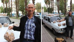 Ormanlarda Doğal Olarak Yetişen Bitki! Yerel Halkın Ekonomisine Katkı Sağlıyor…