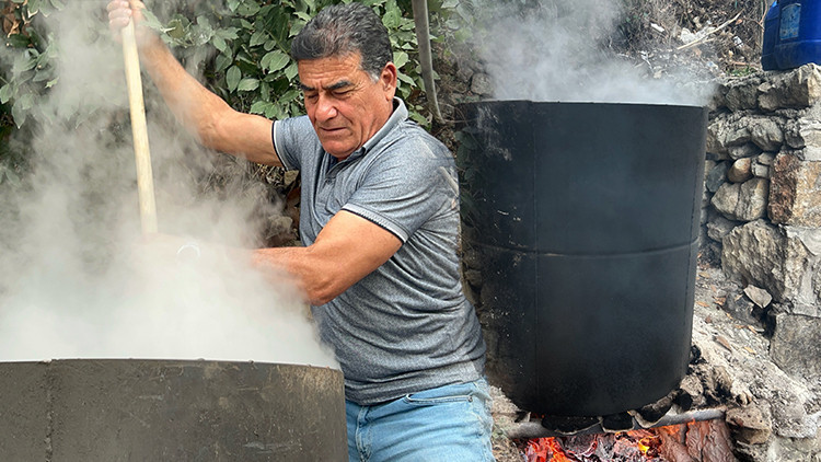 Ormanlarda Doğal Olarak Yetişiyor | Kazanlarda Kaynatıp Kilosu Bin Liraya Satılıyor