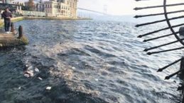 Ortaköy Çöple Mücadelede Zorlanıyor