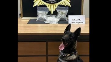 Otob&uuml;ste Ger&ccedil;ekleştirilen Operasyonda 1 Kilo 20 Gram Skunk Madde Ele Ge&ccedil;irildi