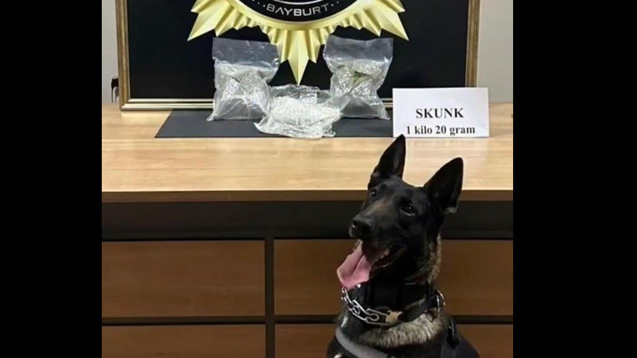 Otobüste Gerçekleştirilen Operasyonda 1 Kilo 20 Gram Skunk Madde Ele Geçirildi