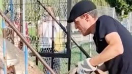 Piknik Esnasında Nehirden Yakalanan Dev Balık 20 Bin Liraya Satıldı