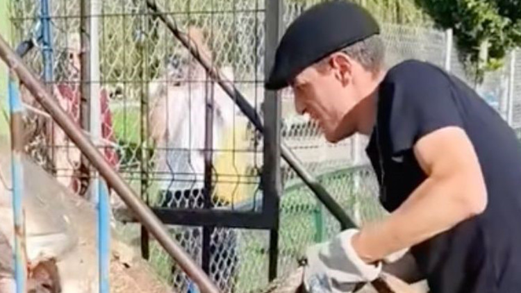 Piknik Esnasında Nehirden Yakalanan Dev Balık 20 Bin Liraya Satıldı