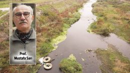 Prof. Dr. Mustafa Sarı: Gönen Çayı’ndaki Kirlilik Alarm Veriyor