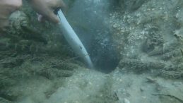 Prof. Dr. Şener Üşümezsoy ‘asıl tehlike' demişti: Sapanca Gölü'ndeki kabarcıklar akılları karıştırdı!