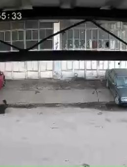 Sakarya'da Dehşet Anları Kamerada: Küçük Çocuk Köpeğin Saldırısına Uğradı!