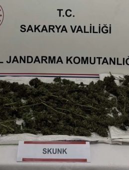 Sakarya’da Uyuşturucu Operasyonu: 3 Gözaltı!