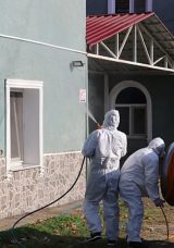 Samsun'da Kahverengi Kokarcaya Karşı İla&ccedil;lama Devam Ediyor