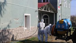 Samsun'da Kahverengi Kokarcaya Karşı İla&ccedil;lama Devam Ediyor